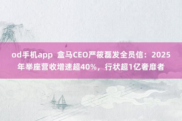 od手机app  盒马CEO严筱磊发全员信：2025年举座营收增速超40%，行状超1亿奢靡者