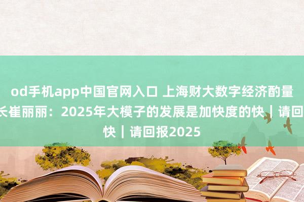 od手机app中国官网入口 上海财大数字经济酌量院副院长崔丽丽：2025年大模子的发展是加快度的快｜请回报2025