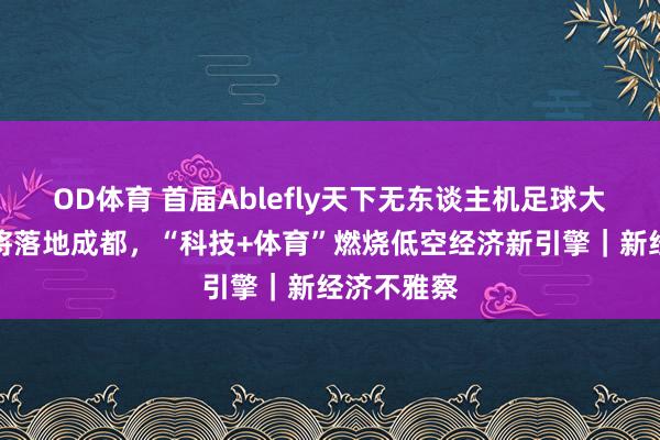 OD体育 首届Ablefly天下无东谈主机足球大赛总决赛将落地成都，“科技+体育”燃烧低空经济新引擎｜新经济不雅察