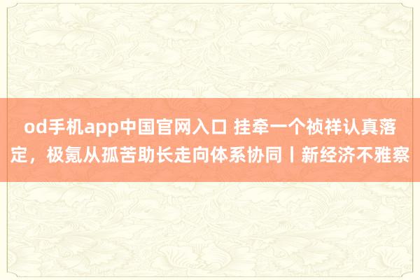 od手机app中国官网入口 挂牵一个祯祥认真落定，极氪从孤苦助长走向体系协同丨新经济不雅察