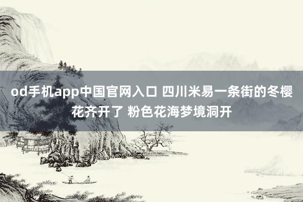 od手机app中国官网入口 四川米易一条街的冬樱花齐开了 粉色花海梦境洞开