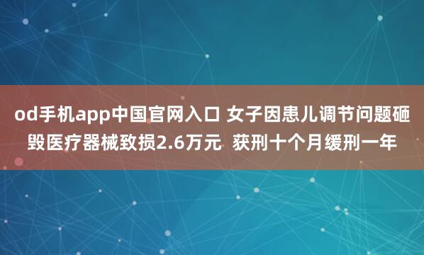 od手机app中国官网入口 女子因患儿调节问题砸毁医疗器械致损2.6万元  获刑十个月缓刑一年