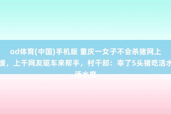 od体育(中国)手机版 重庆一女子不会杀猪网上求援，上千网友驱车来帮手，村干部：宰了5头猪吃活水席