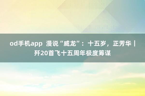 od手机app  漫说“威龙”：十五岁，<a href=