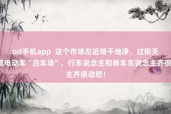 od手机app  这个市场左近场干地净，过街天桥却成电动车“泊车场”，行东说念主和骑车东说念主齐很动怒！