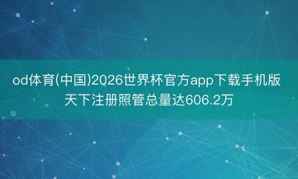 od体育(中国)2026世界杯官方app下载手机版 天下注册照管总量达606.2万