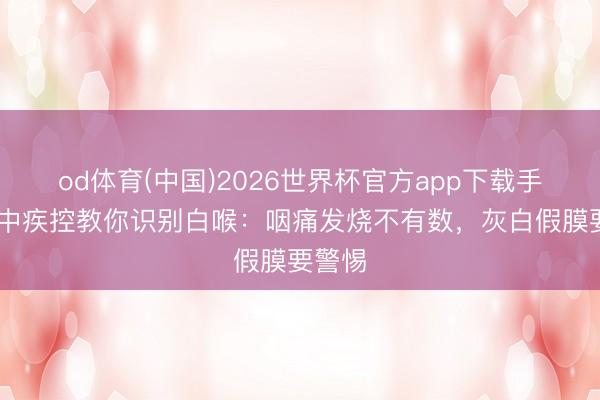 od体育(中国)2026世界杯官方app下载手机版 中疾控教你识别白喉：咽痛发烧不有数，灰白假膜要警惕