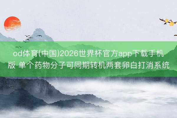 od体育(中国)2026世界杯官方app下载手机版 单个药物分子可同期转机两套卵白打消系统