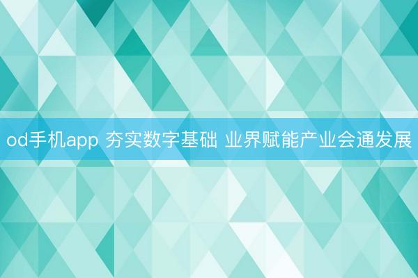 od手机app 夯实数字基础 业界赋能产业会通发展