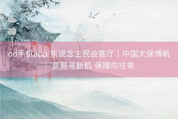 od手机app 东说念主民会客厅｜中国太保傅帆：变局寻新机 保障向往常