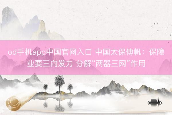 od手机app中国官网入口 中国太保傅帆：保障业要三向发力 分解“两器三网”作用