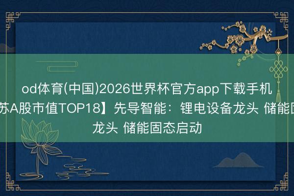 od体育(中国)2026世界杯官方app下载手机版 【江苏A股市值TOP18】先导智能：锂电设备龙头 储能固态启动