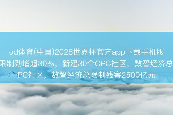 od体育(中国)2026世界杯官方app下载手机版 武汉一季度AI产业限制劲增超30%，新建30个OPC社区，数智经济总限制残害2500亿元