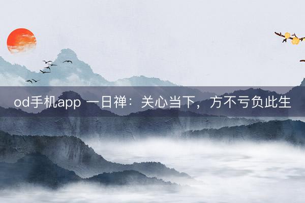 od手机app 一日禅：关心当下，方不亏负此生