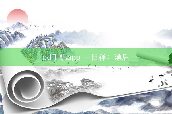 od手机app 一日禅：漂后