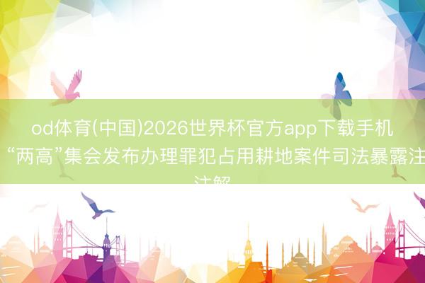 od体育(中国)2026世界杯官方app下载手机版 “两高”集会发布办理罪犯占用耕地案件司法暴露注解