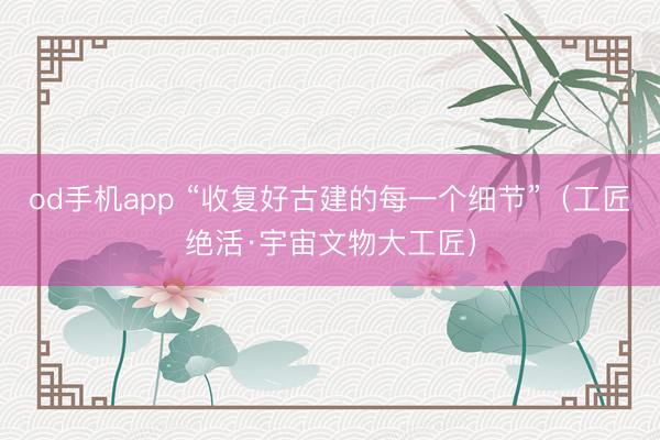 od手机app “收复好古建的每一个细节”（工匠绝活·宇宙文物大工匠）
