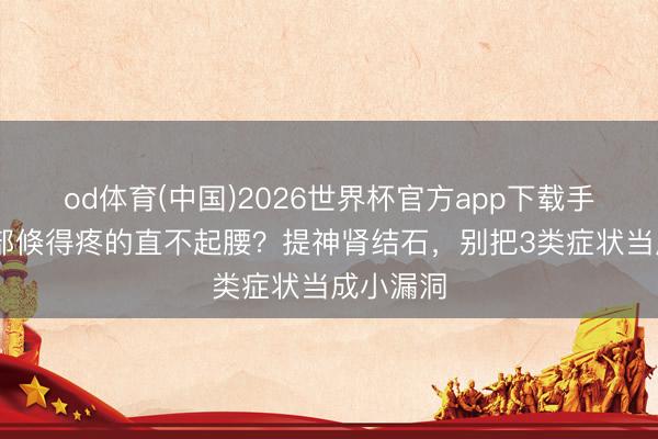 od体育(中国)2026世界杯官方app下载手机版 腹部倏得疼的直不起腰？提神肾结石，别把3类症状当成小漏洞
