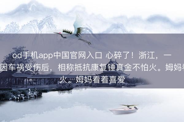 od手机app中国官网入口 心碎了！浙江，一2岁宝宝因车祸受伤后，相称抵抗康复锤真金不怕火。姆妈看着喜爱