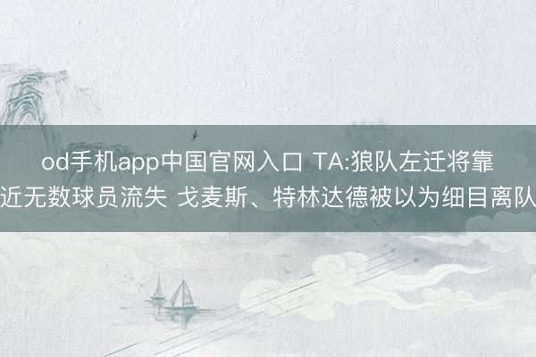od手机app中国官网入口 TA:狼队左迁将靠近无数球员流失 戈麦斯、特林达德被以为细目离队