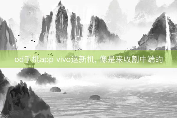 od手机app vivo这新机， 像是来收割中端的