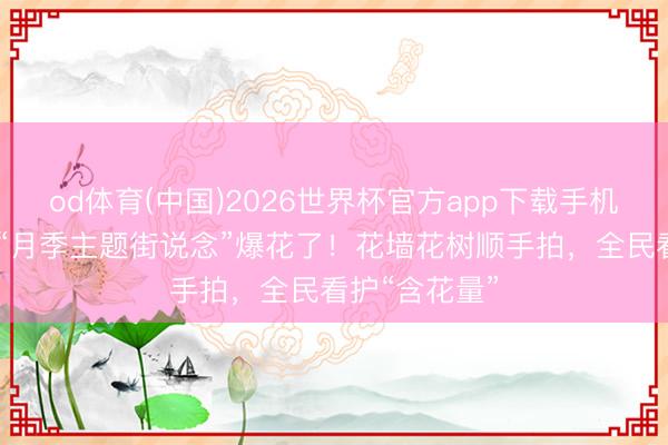 od体育(中国)2026世界杯官方app下载手机版 上海首个“月季主题街说念”爆花了！花墙花树顺手拍，全民看护“含花量”