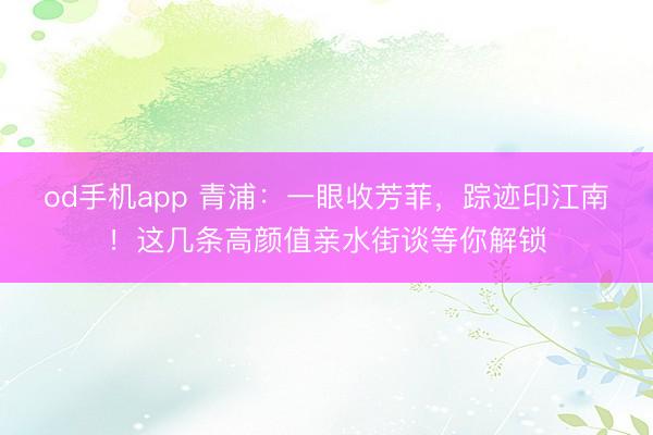 od手机app 青浦：一眼收芳菲，踪迹印江南！这几条高颜值亲水街谈等你解锁