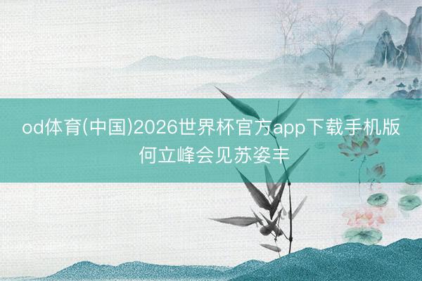 od体育(中国)2026世界杯官方app下载手机版 何立峰会见苏姿丰
