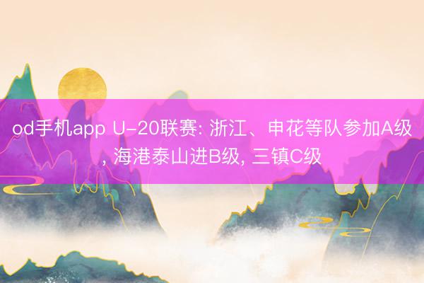 od手机app U-20联赛: 浙江、申花等队参加A级， 海港泰山进B级， 三镇C级