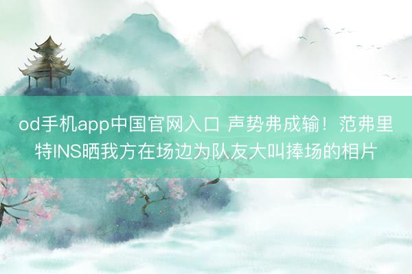 od手机app中国官网入口 声势弗成输！范弗里特INS晒我方在场边为队友大叫捧场的相片