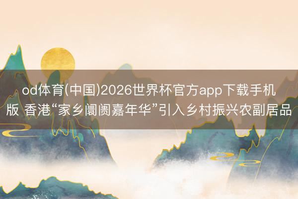od体育(中国)2026世界杯官方app下载手机版 香港“家乡阛阓嘉年华”引入乡村振兴农副居品