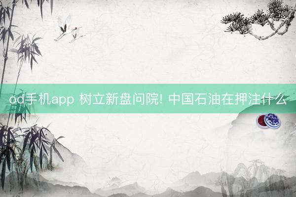 od手机app 树立新盘问院! 中国石油在押注什么