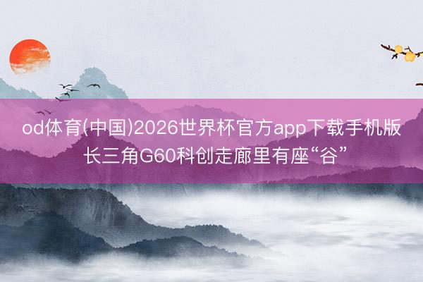 od体育(中国)2026世界杯官方app下载手机版 长三角G60科创走廊里有座“谷”