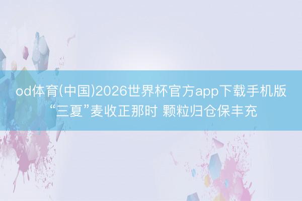 od体育(中国)2026世界杯官方app下载手机版 “三夏”麦收正那时 颗粒归仓保丰充
