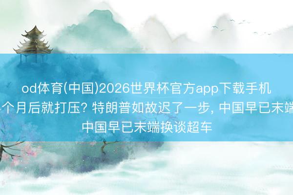od体育(中国)2026世界杯官方app下载手机版 访华半个月后就打压? 特朗普如故迟了一步, 中国早已末端换谈超车