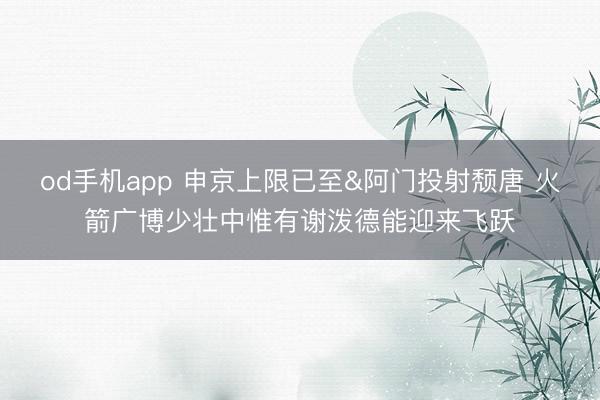 od手机app 申京上限已至&阿门投射颓唐 火箭广博少壮中惟有谢泼德能迎来飞