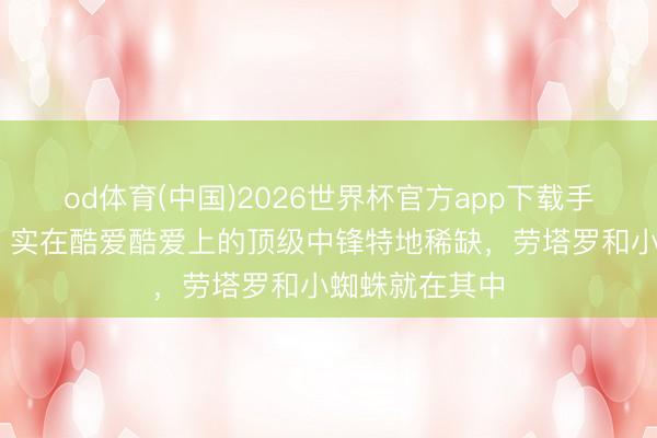 od体育(中国)2026世界杯官方app下载手机版 法尔考:实在酷爱酷爱上的顶级中锋特地稀缺,劳塔罗和小蜘蛛就在其中