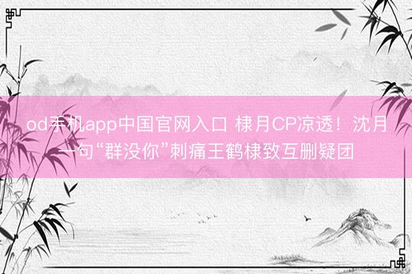 od手机app中国官网入口 棣月CP凉透!沈月一句“群没你”刺痛王鹤棣致互删疑团