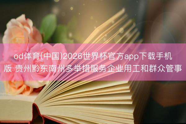 od体育(中国)2026世界杯官方app下载手机版 贵州黔东南州多举措服务企业用工和群众管事