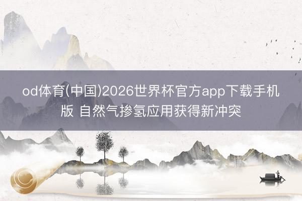 od体育(中国)2026世界杯官方app下载手机版 自然气掺氢应用获得新冲突