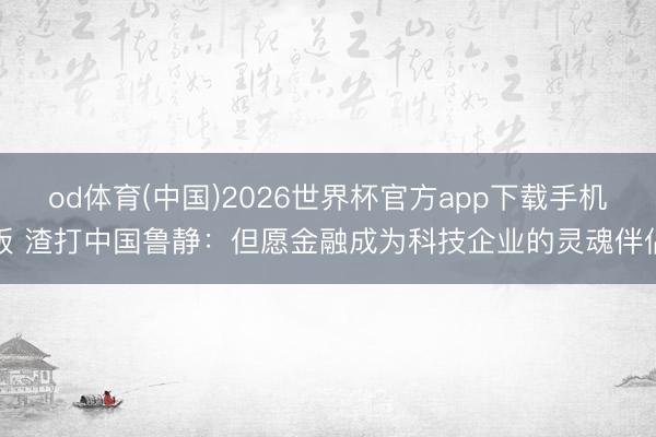 od体育(中国)2026世界杯官方app下载手机版 渣打中国鲁静：但愿金融成为科技企业的灵魂伴侣